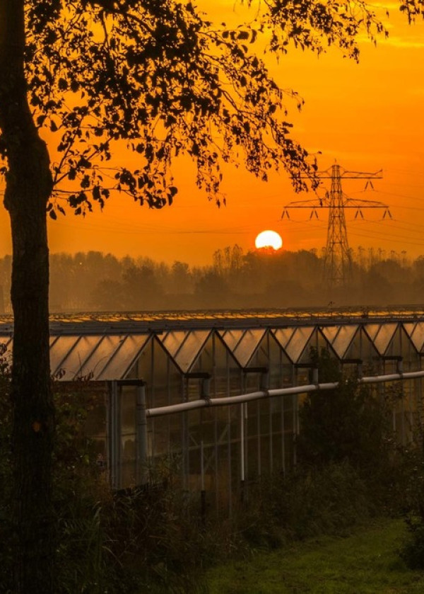 Medewerker: Vitis in de kernen