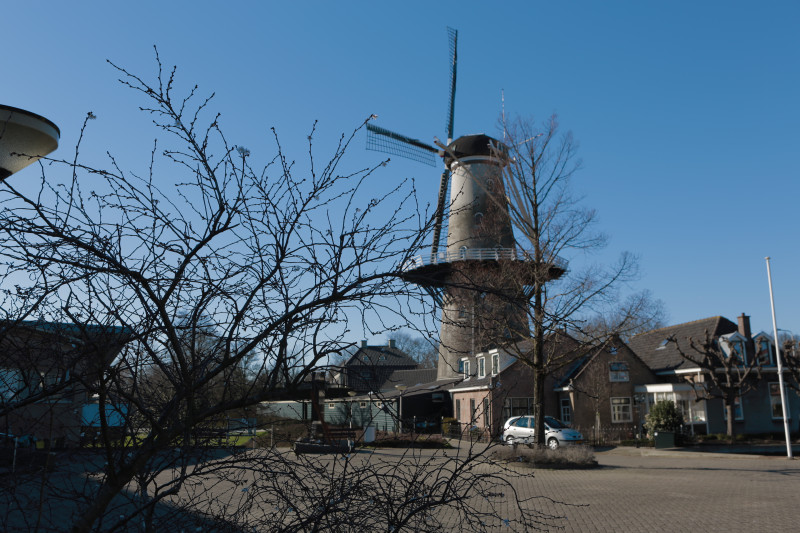 Meer informatie over Wateringen